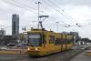 116Na #3019 116Na #3019