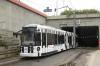 NGT6 #RP632 NGT6 #RP632