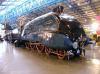 Mallard