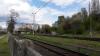 Szczecin Wzgórze Hetmańskie (2017-04-26, fot. 3) Szczecin Wzgórze Hetmańskie (2017-04-26, fot. 3)