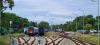Hel (2023-08-10, fot. 2) Hel (2023-08-10, fot. 2)
