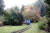 WLp 50 (foto 16) WLp 50 (foto 16)