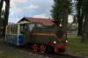WLs50-1563 WLs50-1563