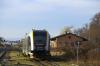 Głogówek (2020-12-29, fot. 6) Głogówek (2020-12-29, fot. 6)