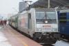 E483 251 E483 251