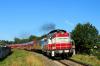 SU42-533 SU42-533