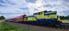 SU42-518 SU42-518