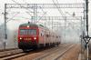 SN84-004 „Przepiór” SN84-004 „Przepiór”