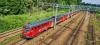 SN84-001 Mucha SN84-001 Mucha