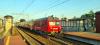 SN84-001 Mucha SN84-001 Mucha
