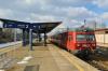 SN84-005 SN84-005