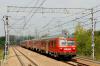 SN84-005 Jaśko SN84-005 Jaśko