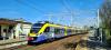 EN79-003 EN79-003