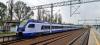 ED160-011 ED160-011
