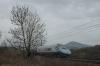 ED250-001 ED250-001