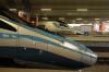 ED250-016 ED250-016