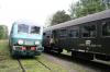 SN61-168 (Parowozjada 2009 – foto 01) SN61-168 (Parowozjada 2009 – foto 01)