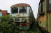 SN61-505 SN61-505