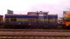 SM42-2224 SM42-2224