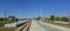 Drzewica (2026-09-29, fot. 4)