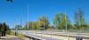 Zelczyna (2026-05-03, fot. 4)